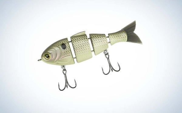 Catch Co.'s Mike Bucca baby bull shad swimbait