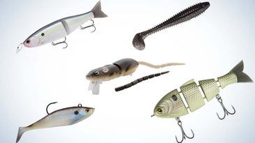 The Best Swimbaits for 2022