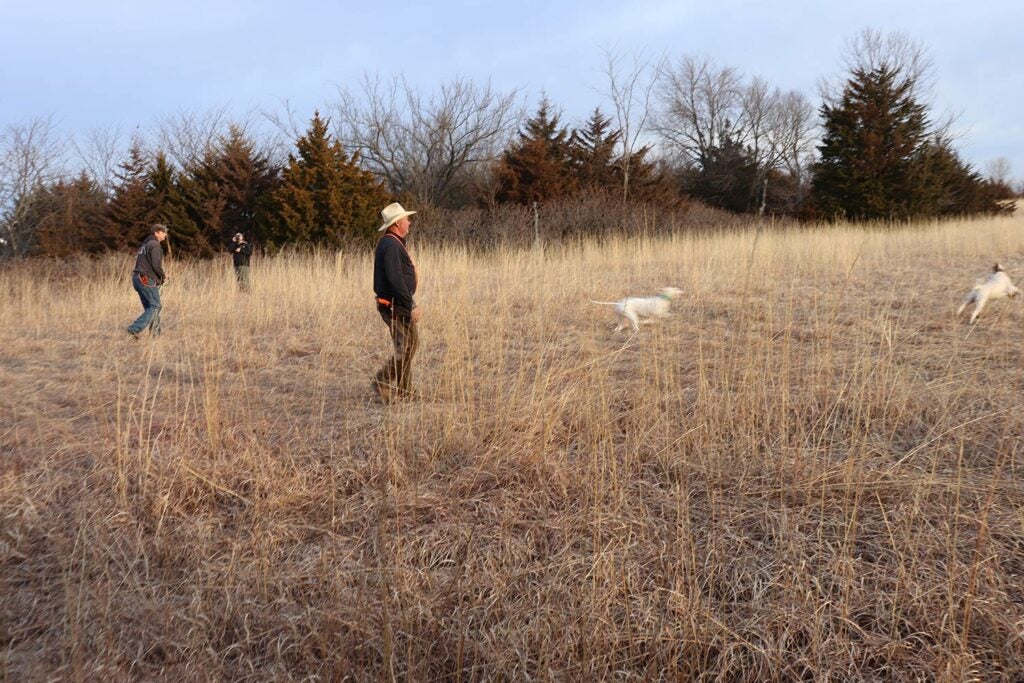 Hunters in a field with their hunting dogs.