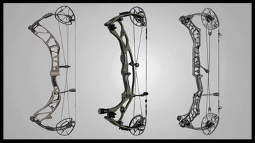 The Best Compound Bows of 2022