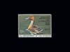 Fulvous Whistling Duck by Burton E. Moore, Jr. â 1986-1987 on a black background.