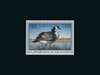 Canada Goose by Robert Hautman â 1997-1998 on a black background.