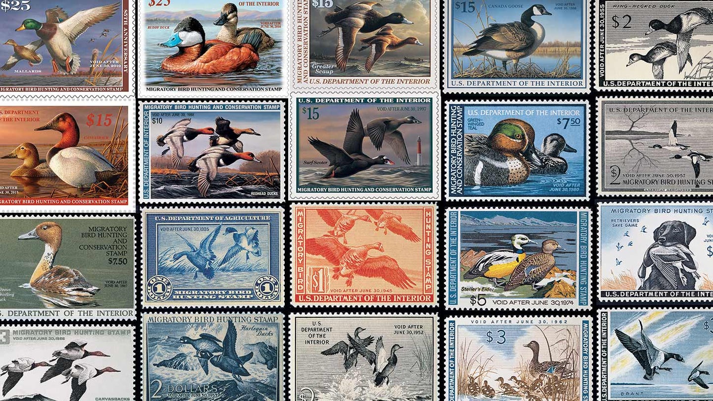Collage of duck stamps