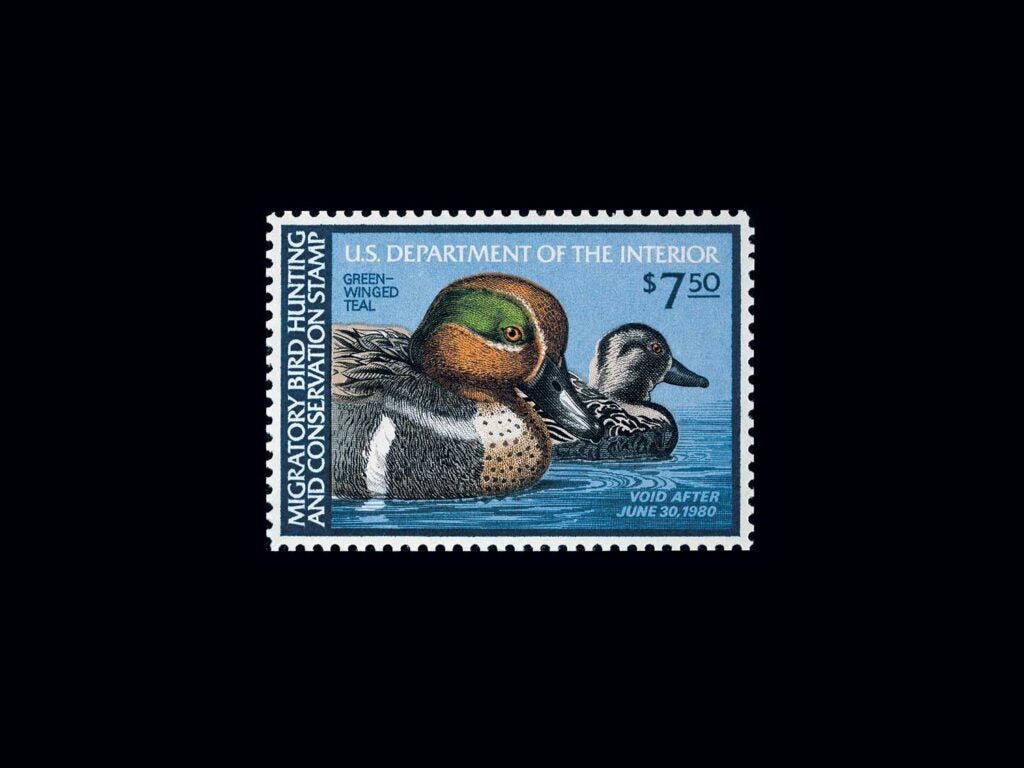Green-Winged Teal by Ken Michaelson â 1979-1980 on a black background.