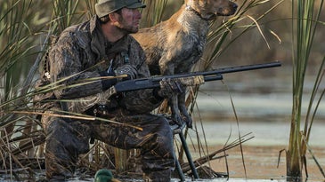 A hunter and a hunting dog duck hunting by a pond.