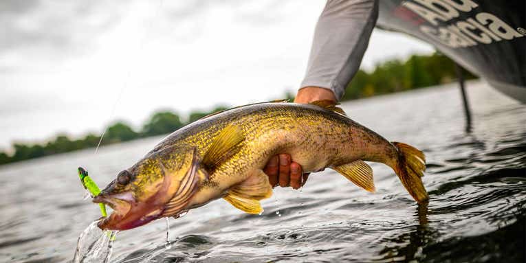 10 Reasons You’re Not Catching Walleyes