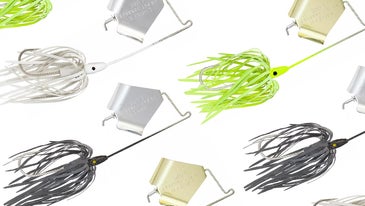 How to Slam Postspawn Bass with a Buzzbait