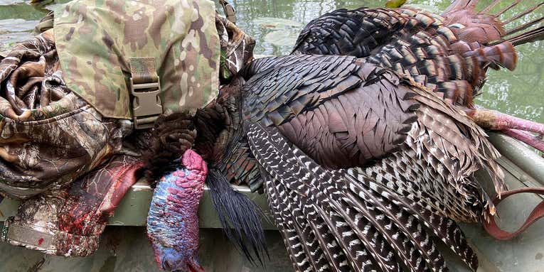 What I Learned from 22 Straight Days of Turkey Hunting