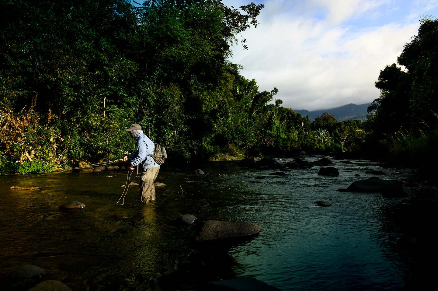 An angler fishing in a Puerto Rico river.