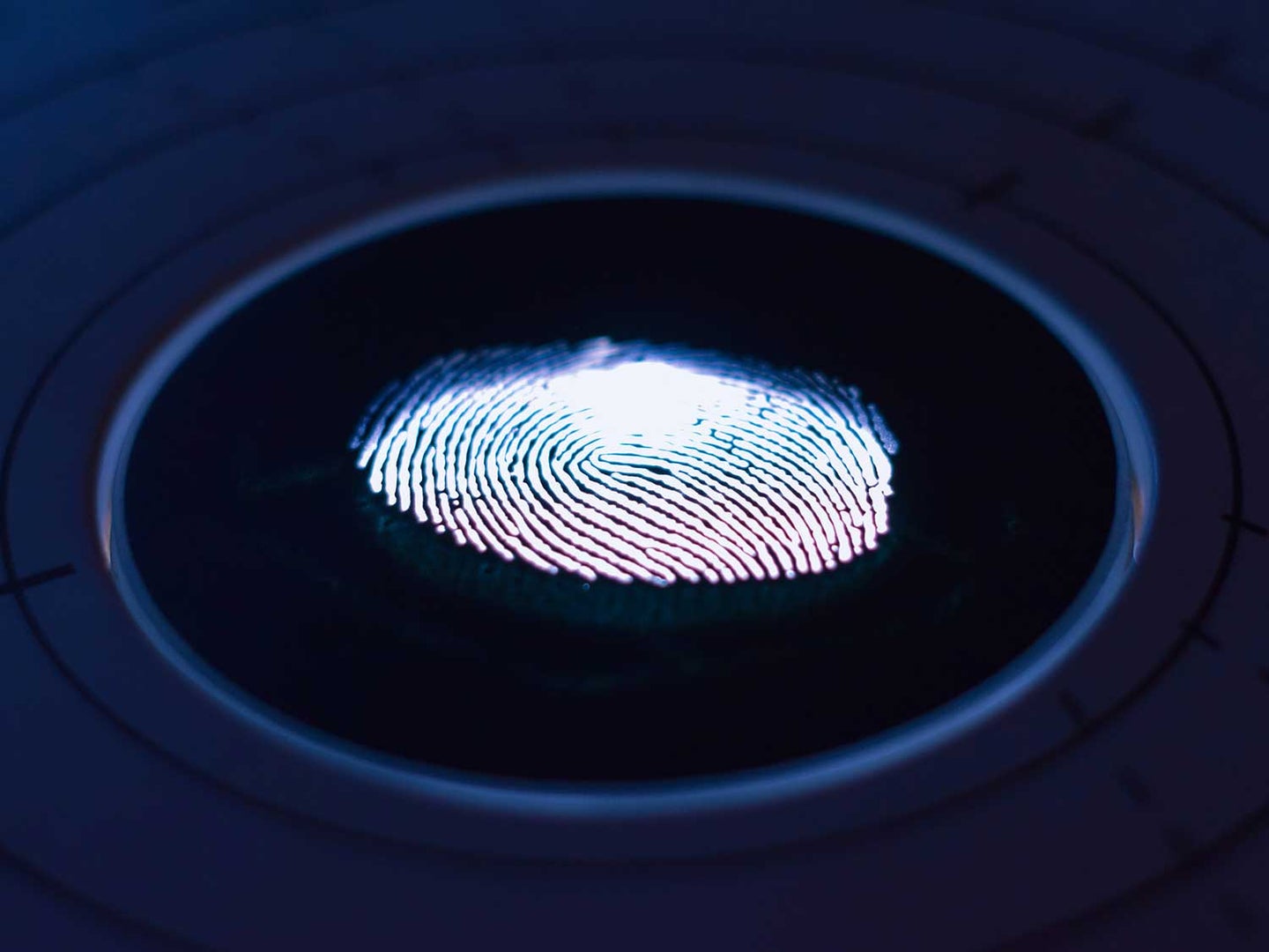 biometric safes