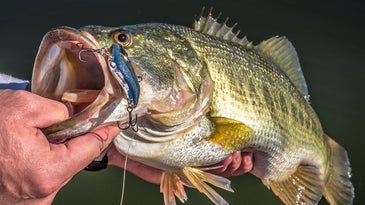 10 Ways to Catch More Largemouth Bass