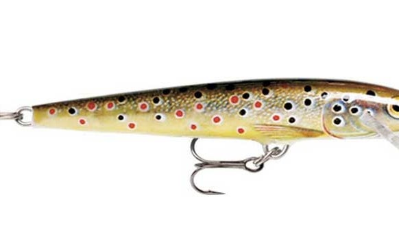 A floating rapala trout lure.