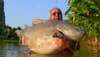 An angler holding up a large 125 pound Salween Rita catfish.