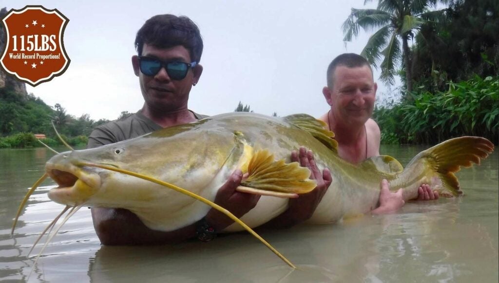 Two anglers holding up a large Irrawaddy Mystus catfish.