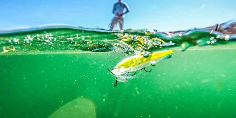 Five Tips for Catching Topwater Bass