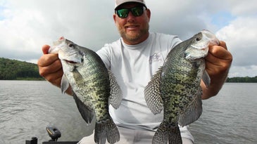 A male angler holding up two large crappie fish.