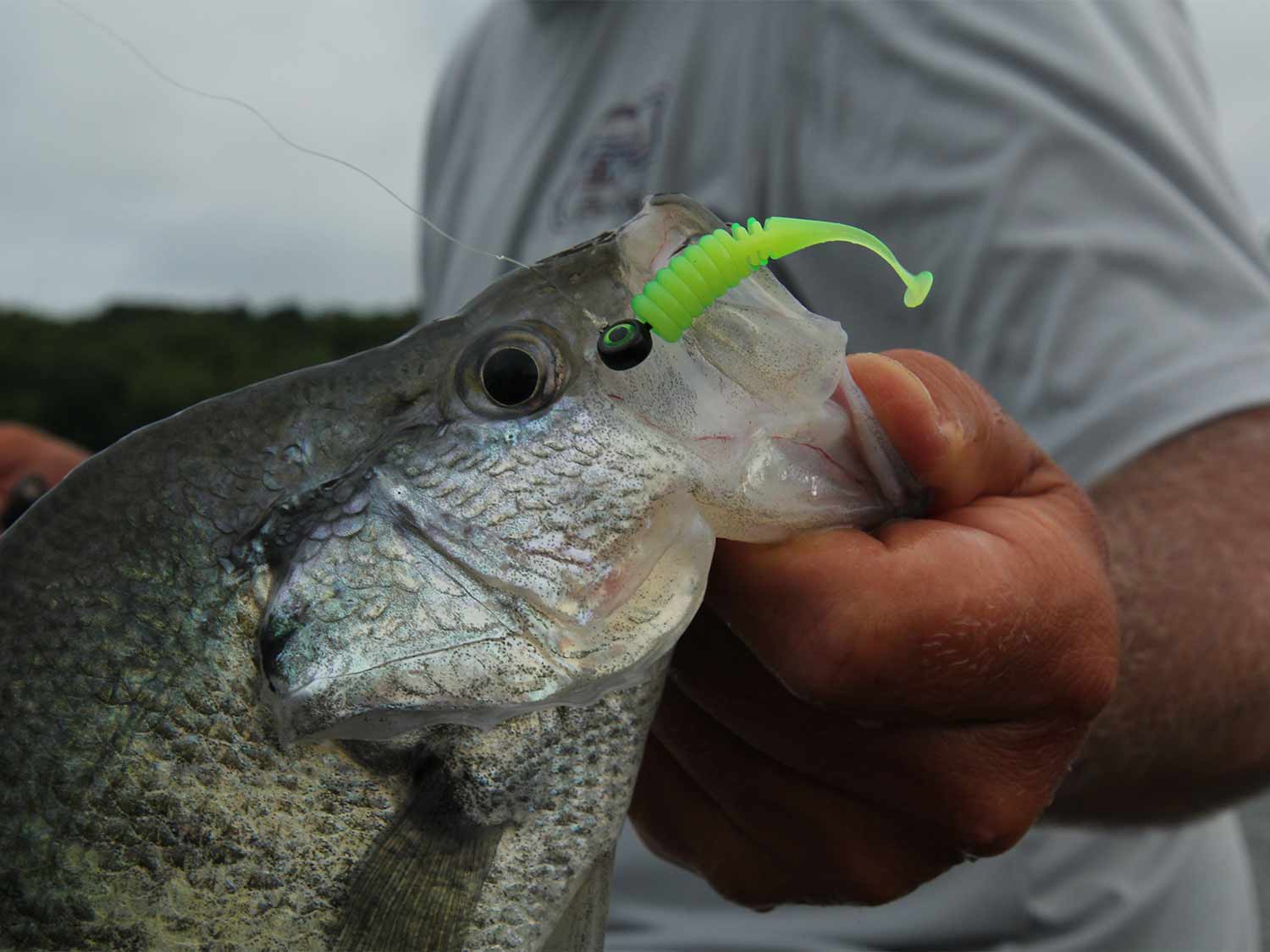Lets talk BRAIDS - for Crappie Fishing 