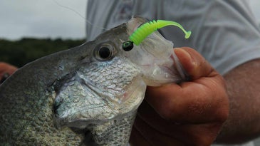 Best Fishing Lines for Crappie in 2022