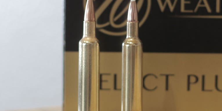 The 5 Fastest Rifle Cartridges