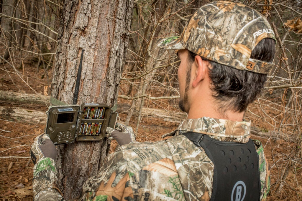 hunter places a trail camera on a tree