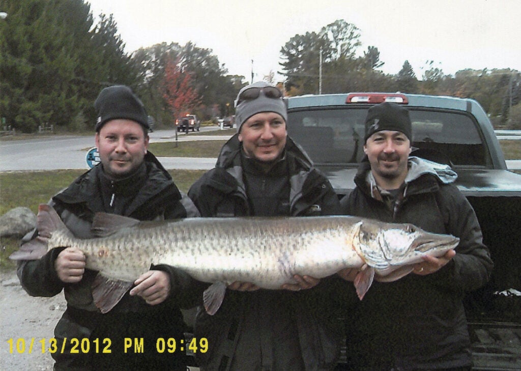 Three men holding up a large muskie fish.