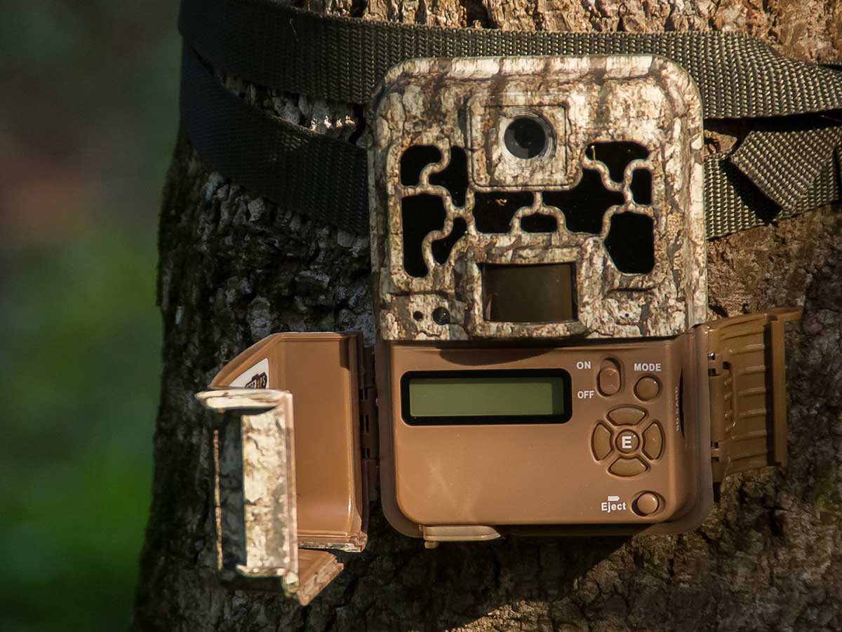 Modern trail camera on a tree