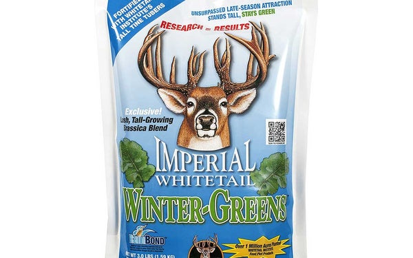 Whitetail Institute Winter-Greens Deer Food Plot Seed for Fall Planting - Annual Brassica Blend to Attract and Hold Deer in the Early and Late Season - Very Cold and Drought Tolerant