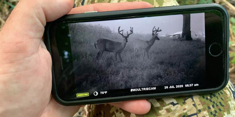 Is it Cheating to Use Wireless Trail Cameras?