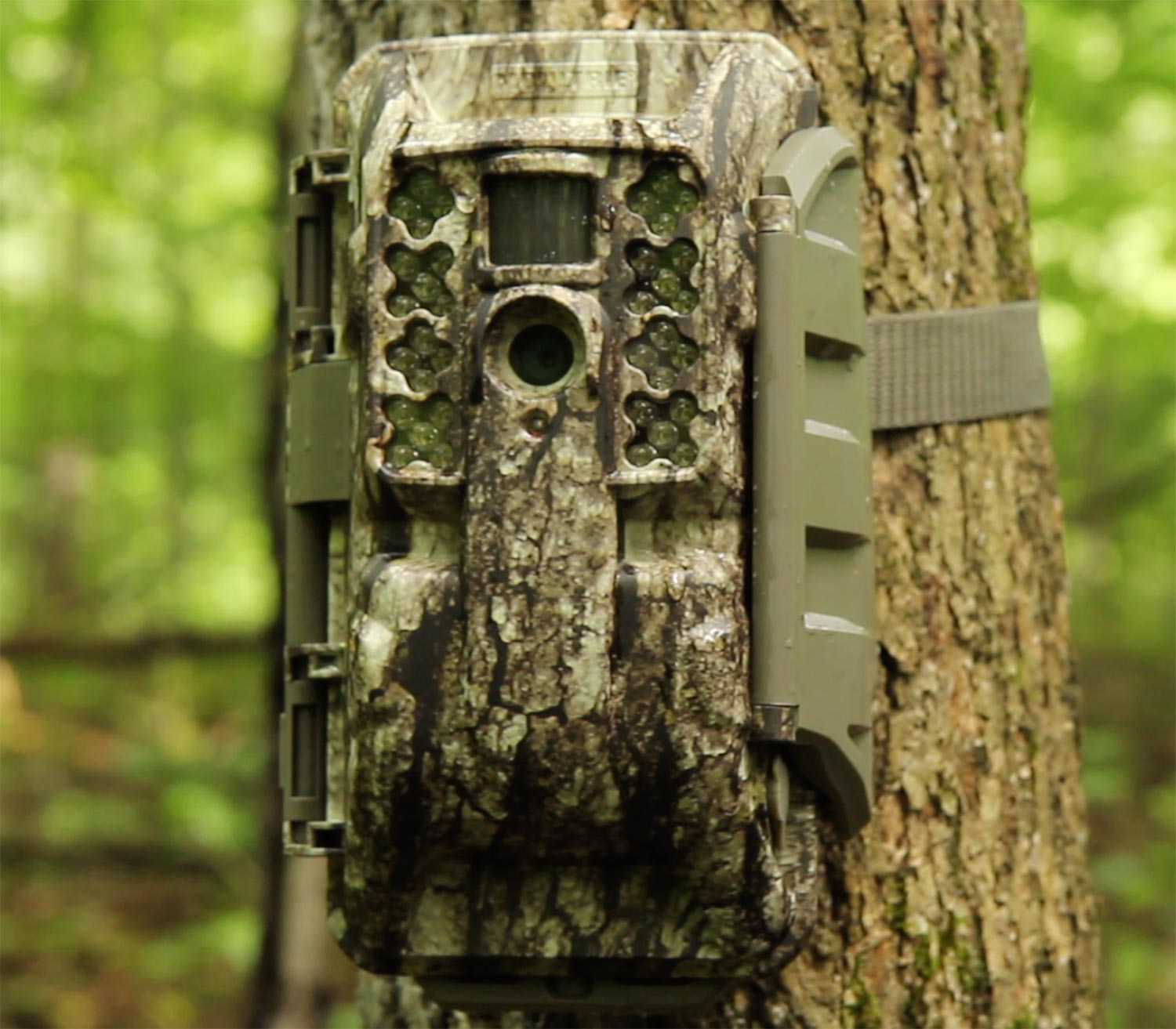 Is it Cheating to Use Wireless Trail Cameras?