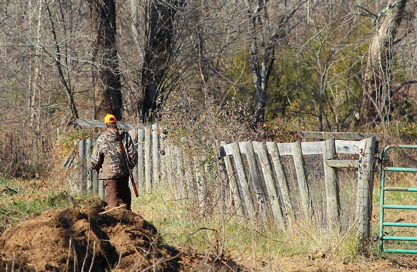 A hunter walking on a fence line with a rifle over their shoulder.