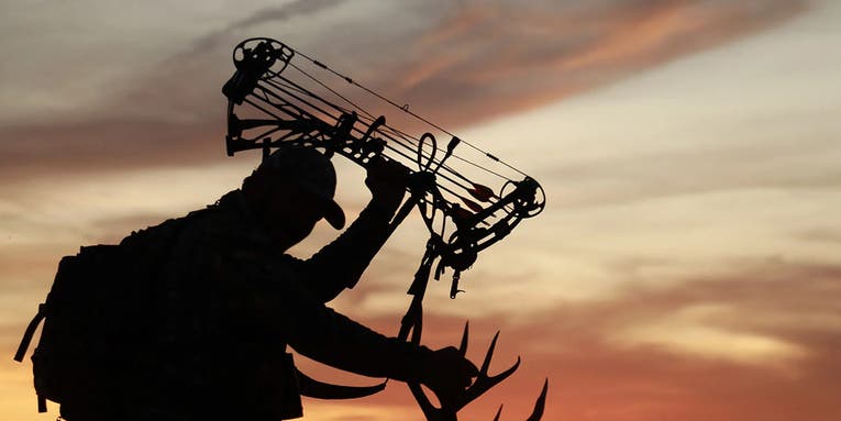 How to Buy the Perfect Compound Bow for Hunting