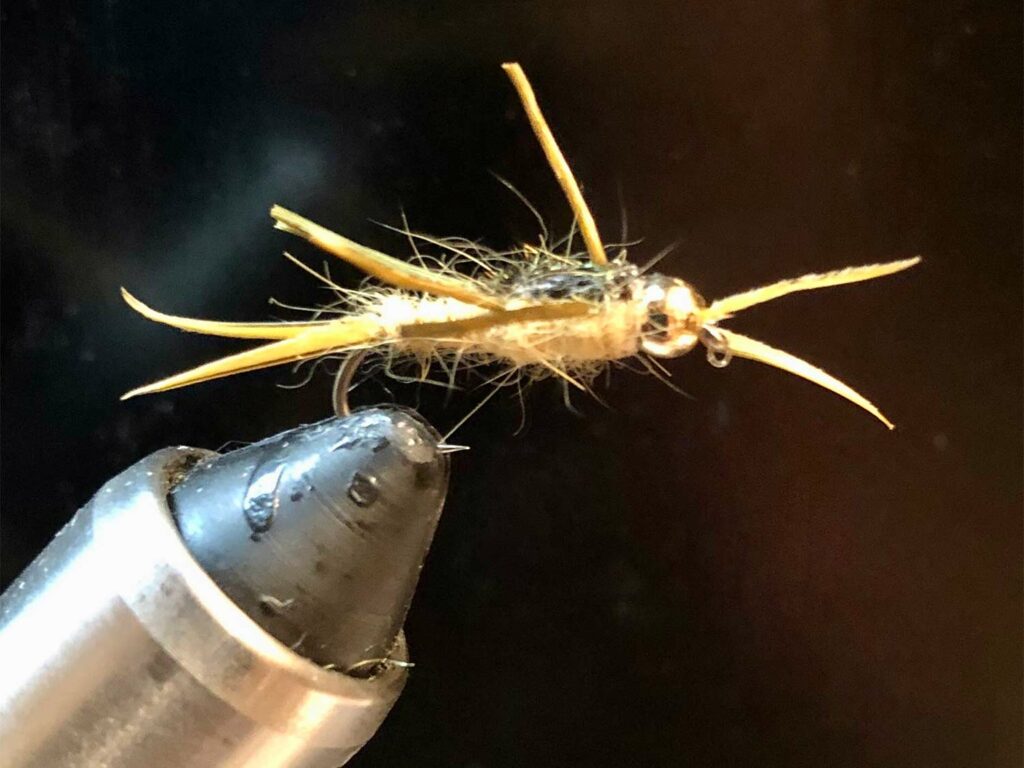 Great Lakes Stone Fly Patterns - Big Kype