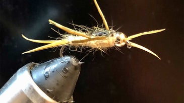 12 Hot Fly Patterns for Great Lakes Steelhead