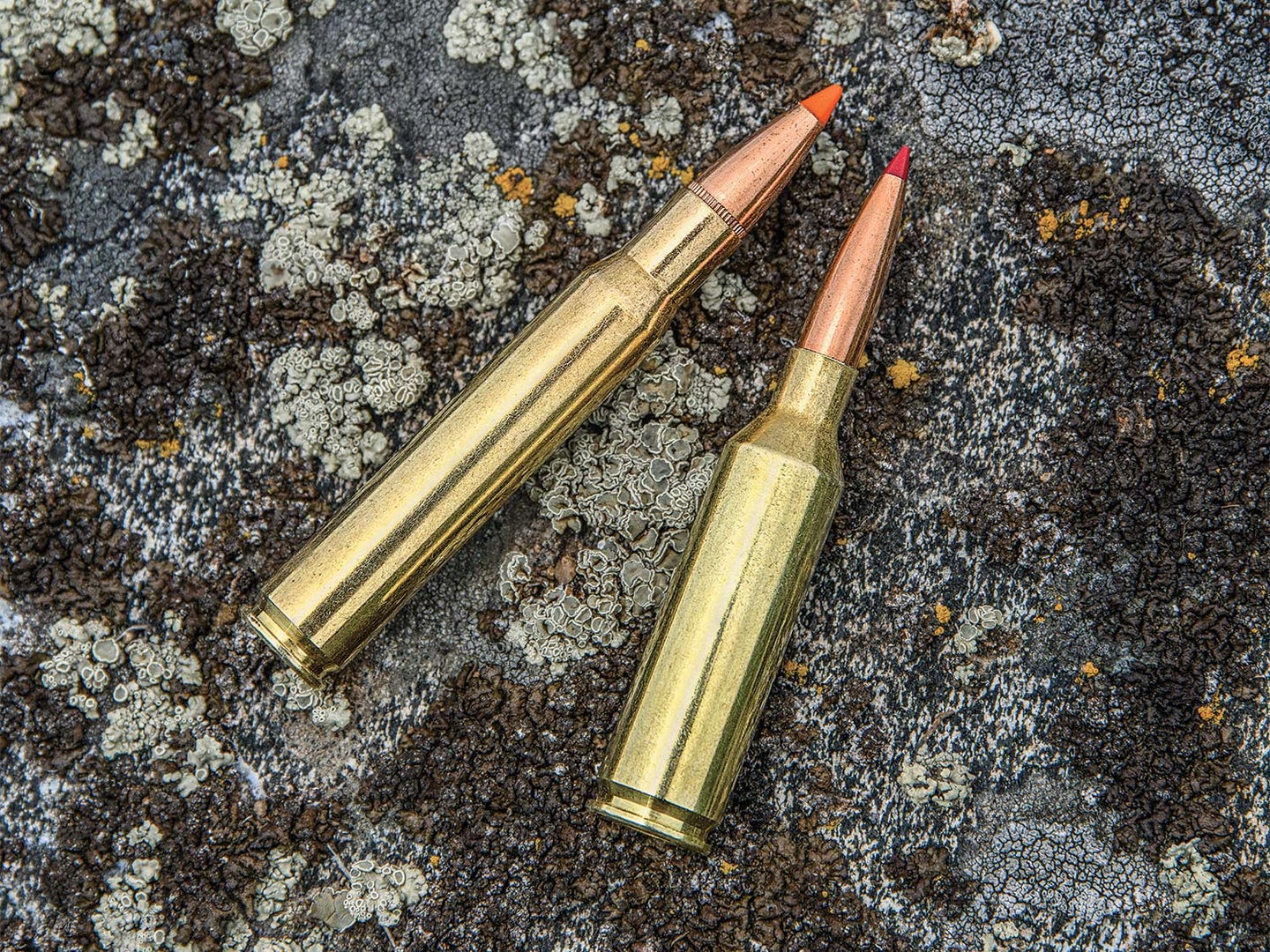 Two rifle cartridges on a stone background.