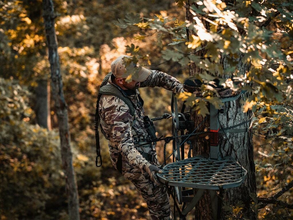 A hunter attaches a tree stand to the side of a tree.