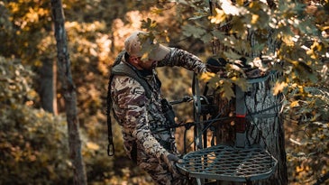 The Complete Guide to Hunting Deer from a Tree Stand