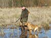 A hunter and a hunting dog wade through a marsh.