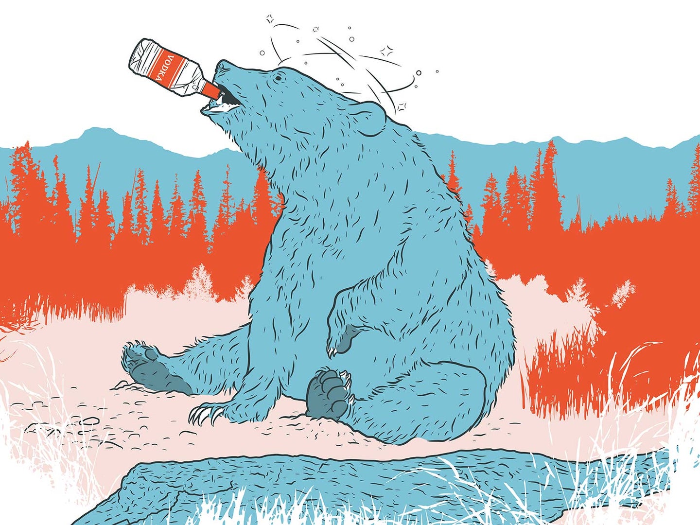 Illustration  of a bear sitting on its butt with a bottle of liquor in its mouth.
