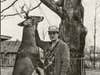 A black and white photo of a man standing next to a deer hanging from a tree branch.