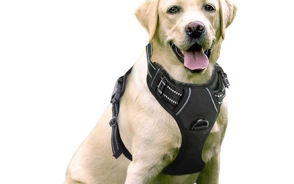 rabbitgoo Dog Harness, No-Pull Pet Harness with 2 Leash Clips, Adjustable Soft Padded Dog Vest, Reflective No-Choke Pet Oxford Vest with Easy Control Handle for Large Dogs, Black, L, Chest 20.5-36"