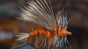 The 10 Best Trout Flies for Late Fall Fishing