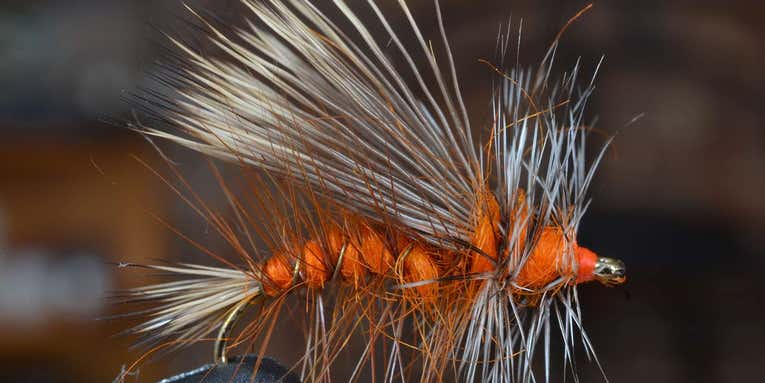The 10 Best Trout Flies for Late Fall Fishing
