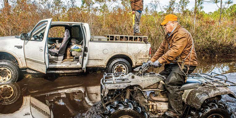 Hunting Black Bears with Hounds in the Famed Bruin Swamps of North Carolina