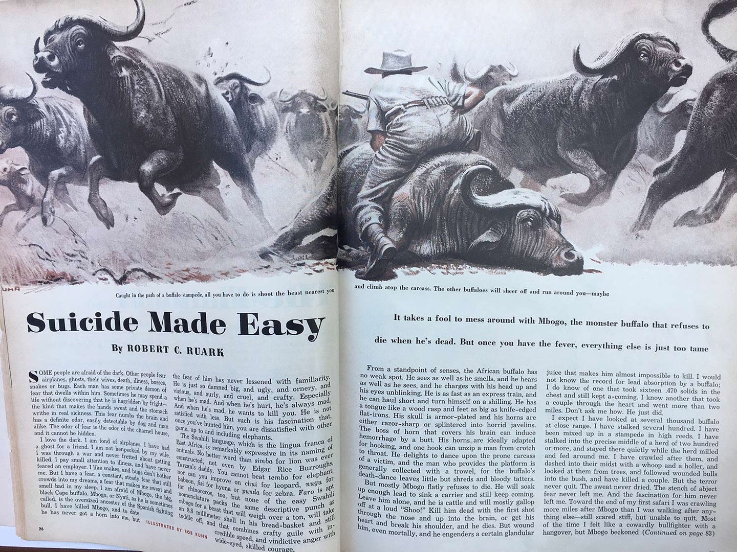 Clippings of an old Field & Stream article showing an illustration of a hunter hiding behind a rock in a cape buffalo stampede.