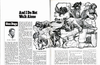 A clipping of an old field and stream article featuring an illustration of dogs.