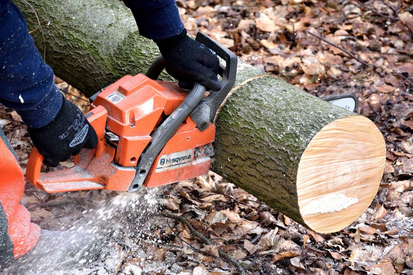 Person using a chainsaw