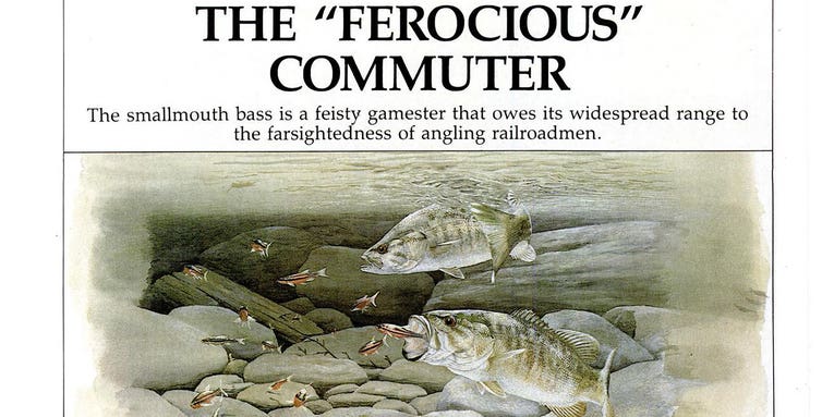 F&S Classics: The “Ferocious” Commuter