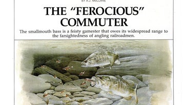 F&S Classics: The “Ferocious” Commuter