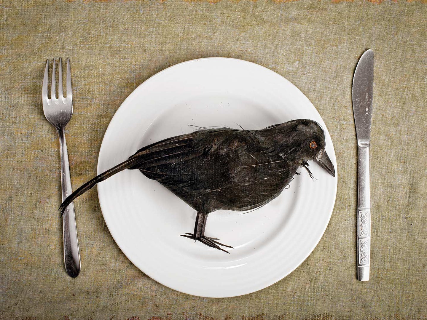 A crow on a plate.