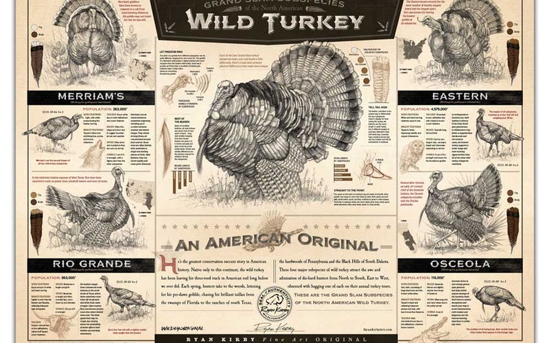 The Grand Slam Subspecies of the North American Wild Turkey Paper Pring
